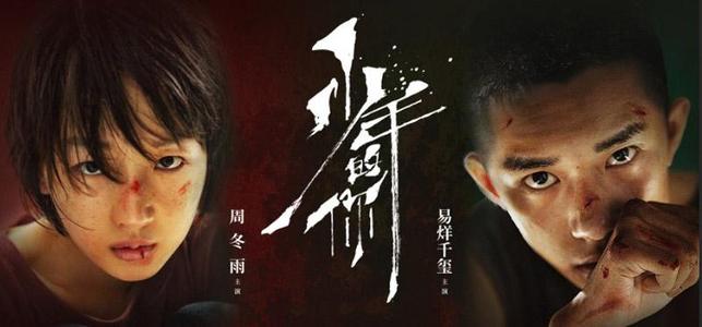 符合报考条件的最后学历证书编号是什么